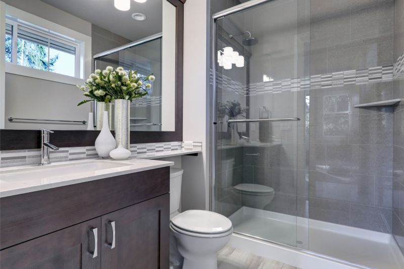 Top Shower Remodeling Companies in Lake Zurich, IL