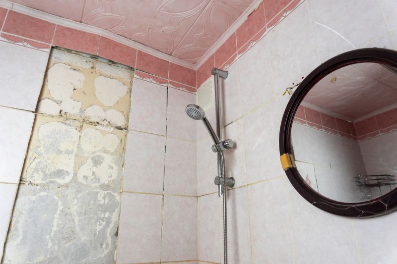 Top Shower Remodeling Companies in Mundelein, IL