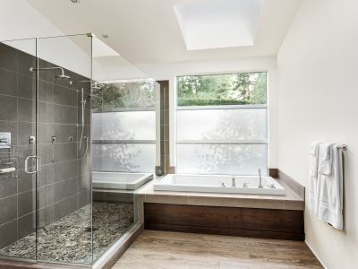 Top Tub To Shower Conversion Companies in Aurora, IL