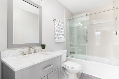 Top Tub To Shower Conversion Companies in Barrington, IL