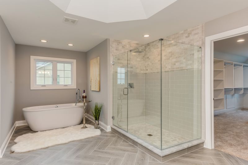 Top Tub To Shower Conversion Companies in Saint Charles, IL
